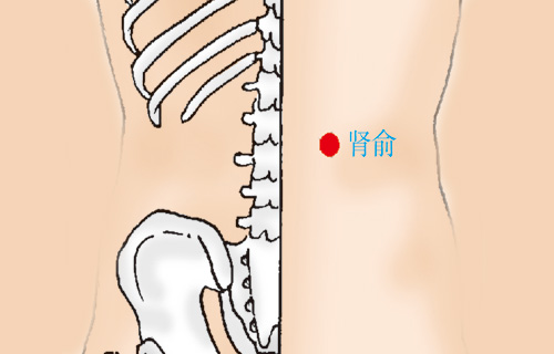 中医经络馆之常用穴位