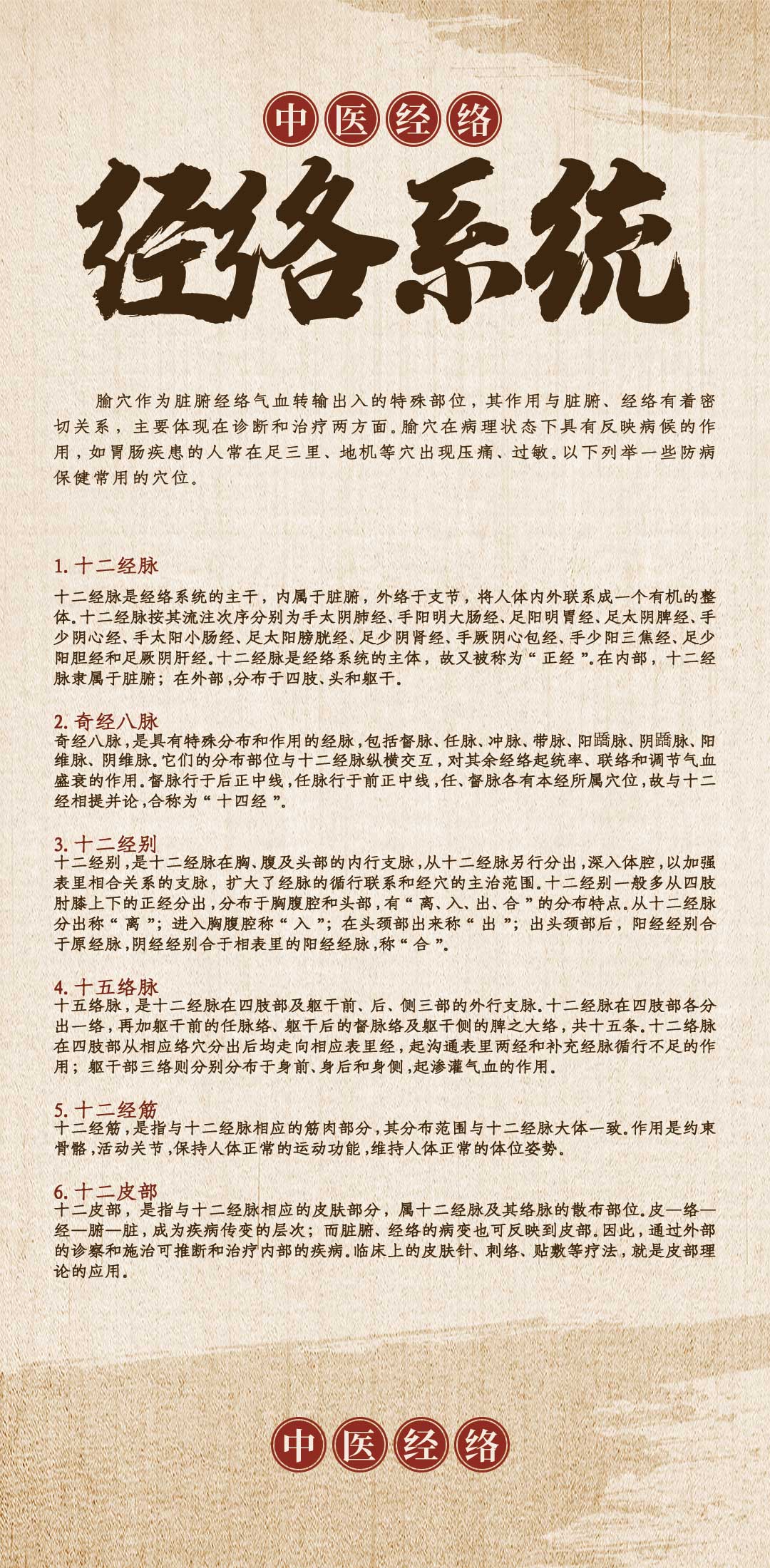 经络系统.jpg